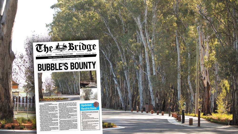 Thursday, August 6, 2020 post image