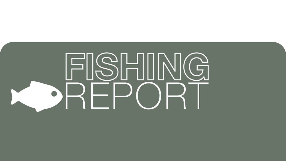 Fishing Report - March 16, 2023 post image