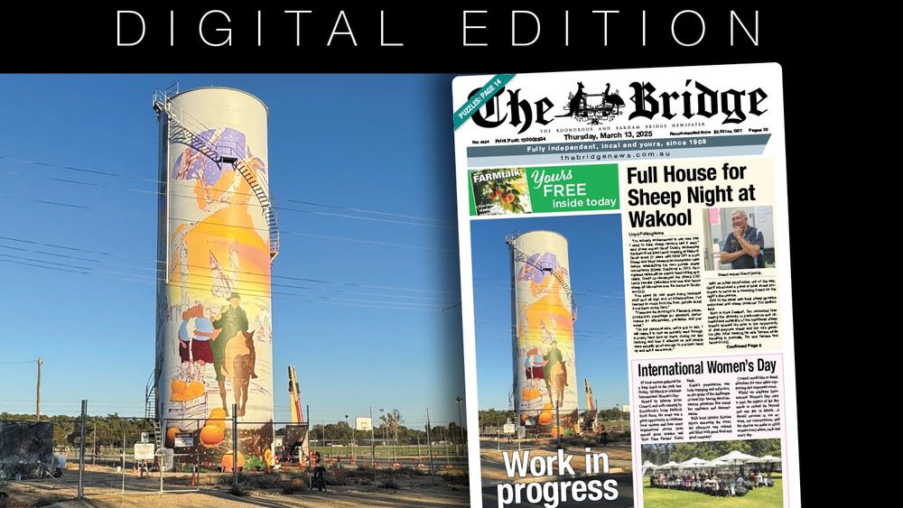 Thursday, March 13, 2025 post image