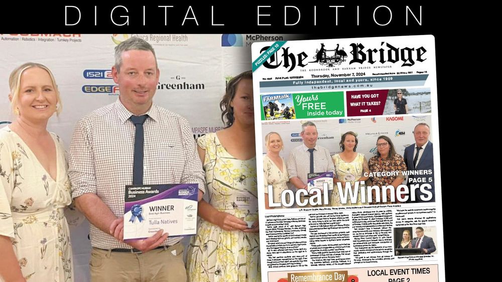 Thursday, November 7, 2024 post image