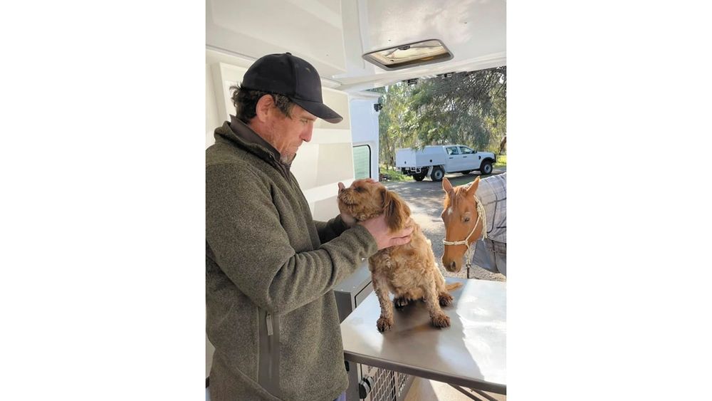 Border Vet Barham: Navigating Change with Relocation and Expanded Services post image