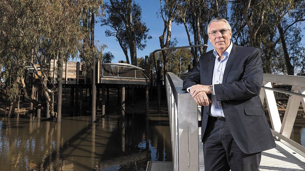Walsh Returns post image