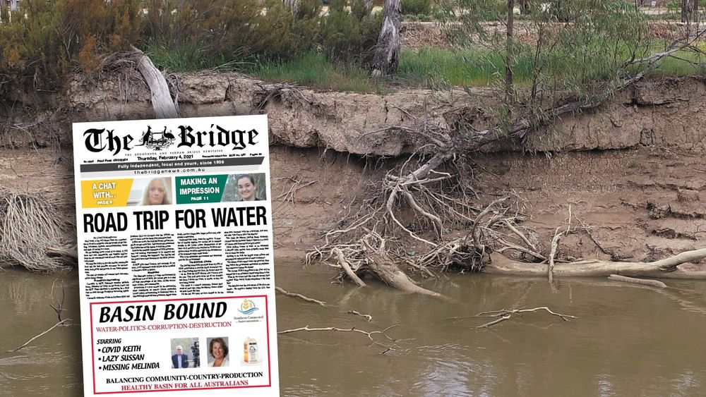 Thursday, February 4, 2021 post image