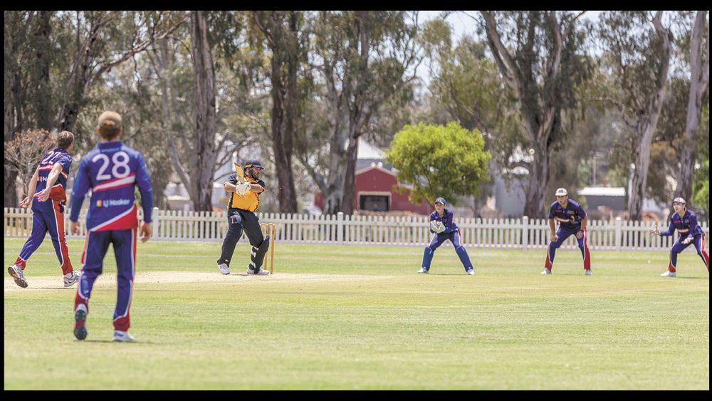 Doc captures five post image