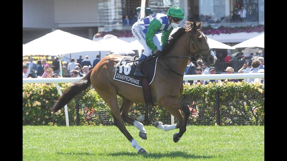 Rice Paddies to Racetrack post image