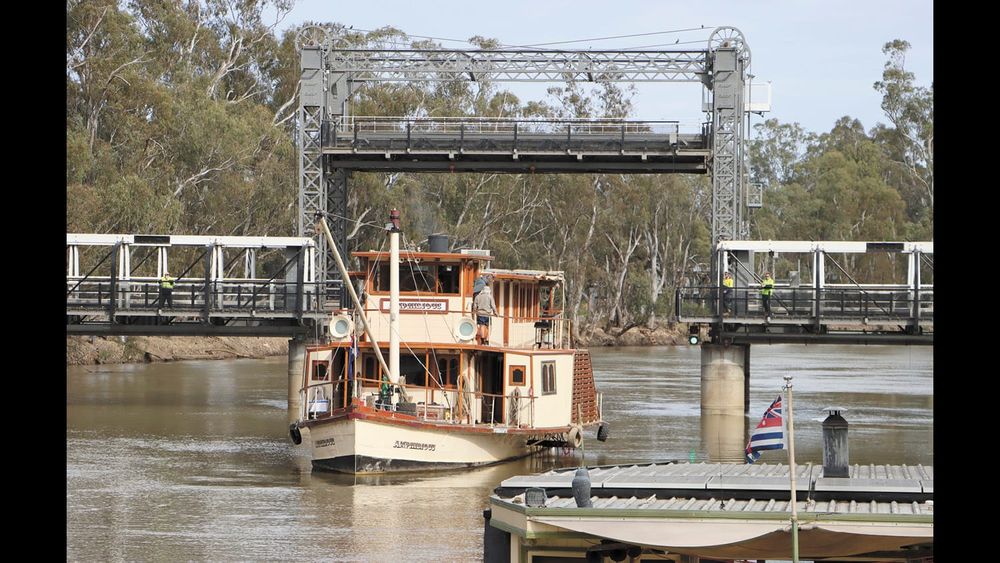 Heading Back to its Roots post image