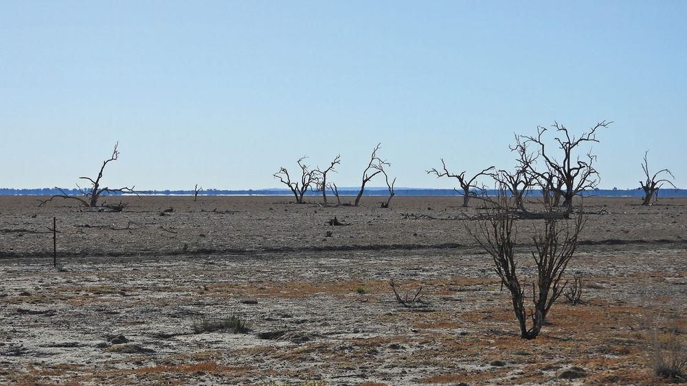 Dire Warning for Southern Basin post image