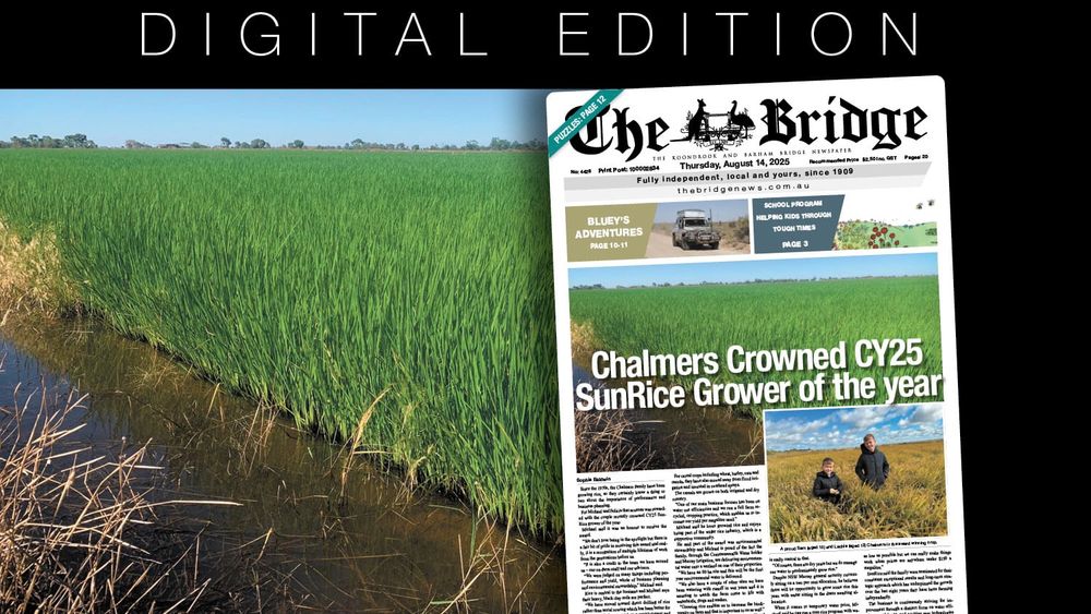 Thursday, August 14, 2025 post image