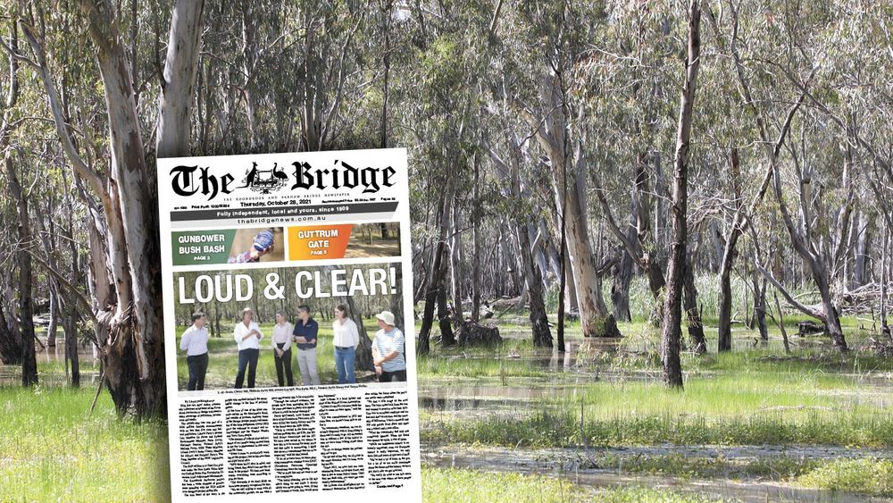 Thursday, October 28, 2021 post image