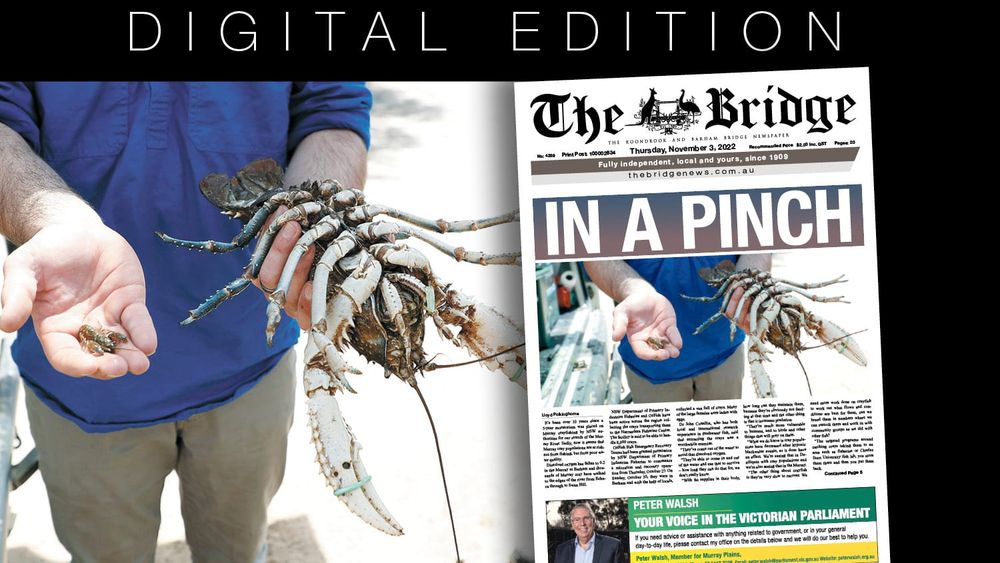 Thursday, November 3, 2022 post image