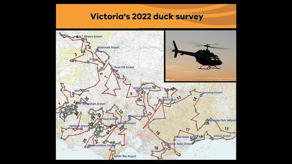 Quacking the Numbers post image