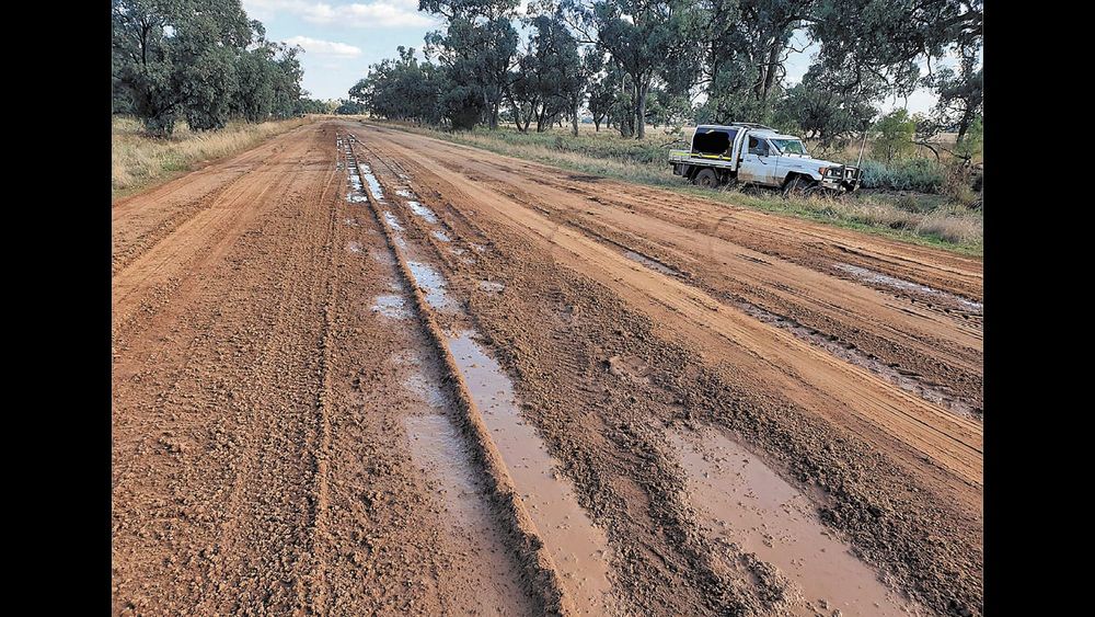Perricoota Peril post image