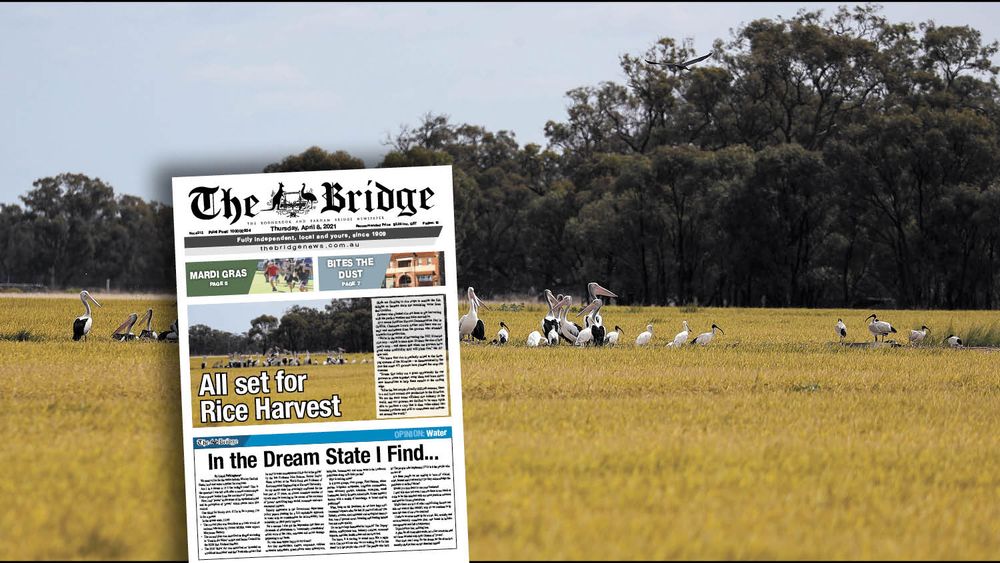 Thursday, April 8, 2021 post image