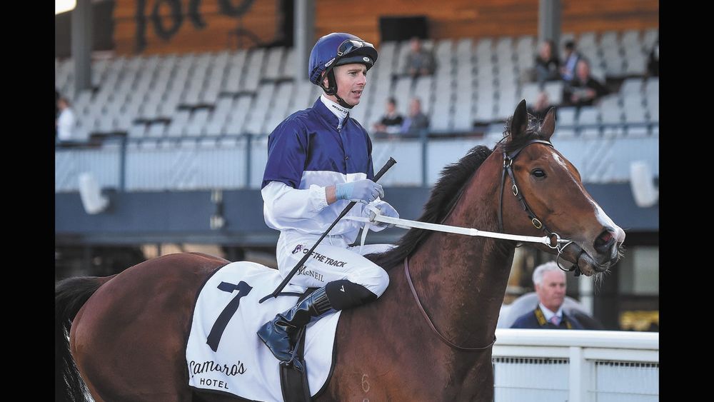 McNeil Career win #876 post image