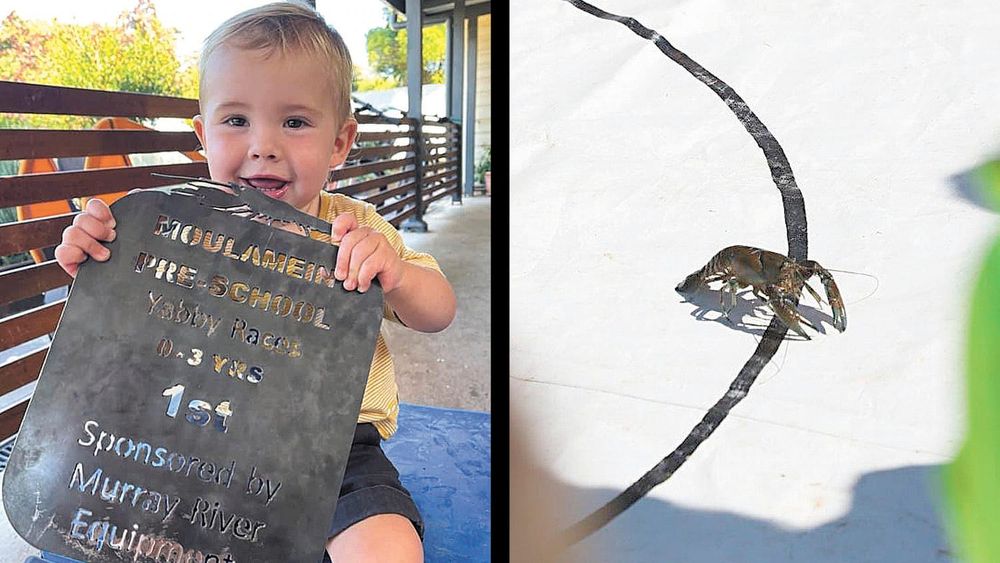 Off and Racing post image