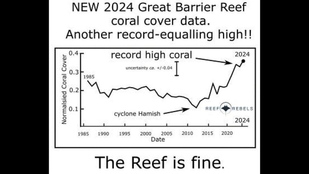 Reef’s Record post image