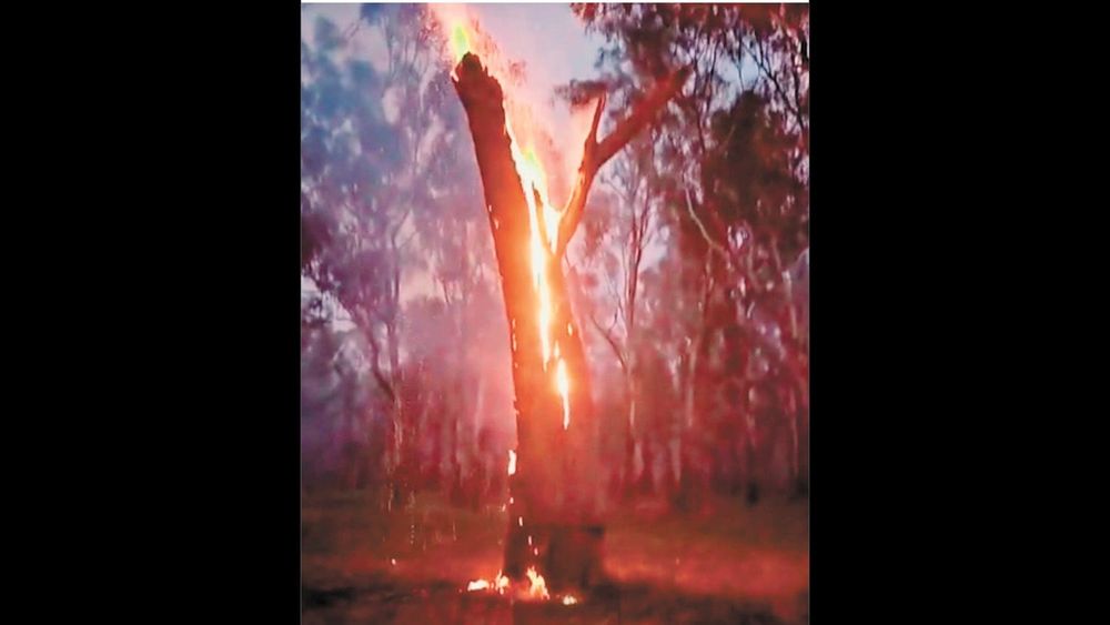 Burning Questions post image