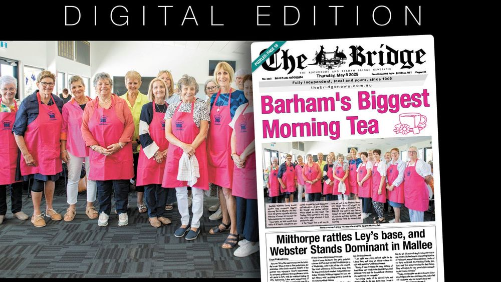 Thursday, May 8, 2025 post image