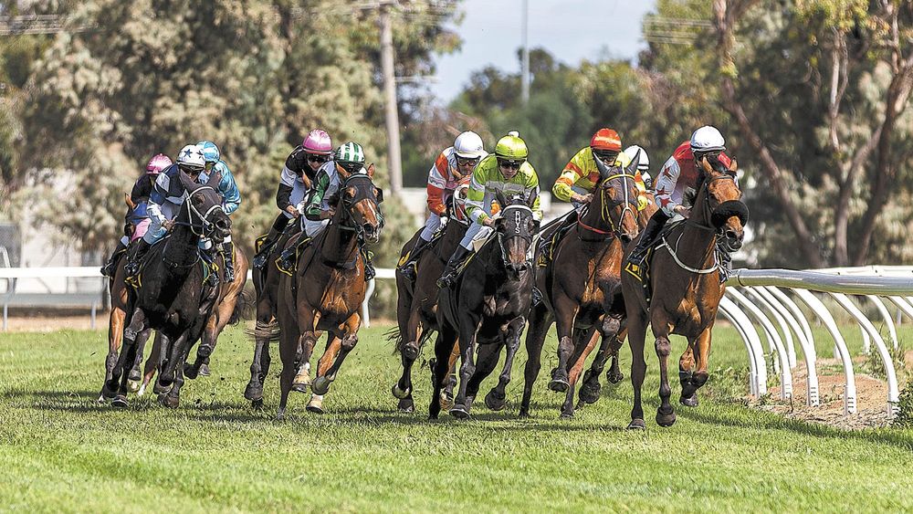 Kerang Awarded Mildura Race Meeting post image