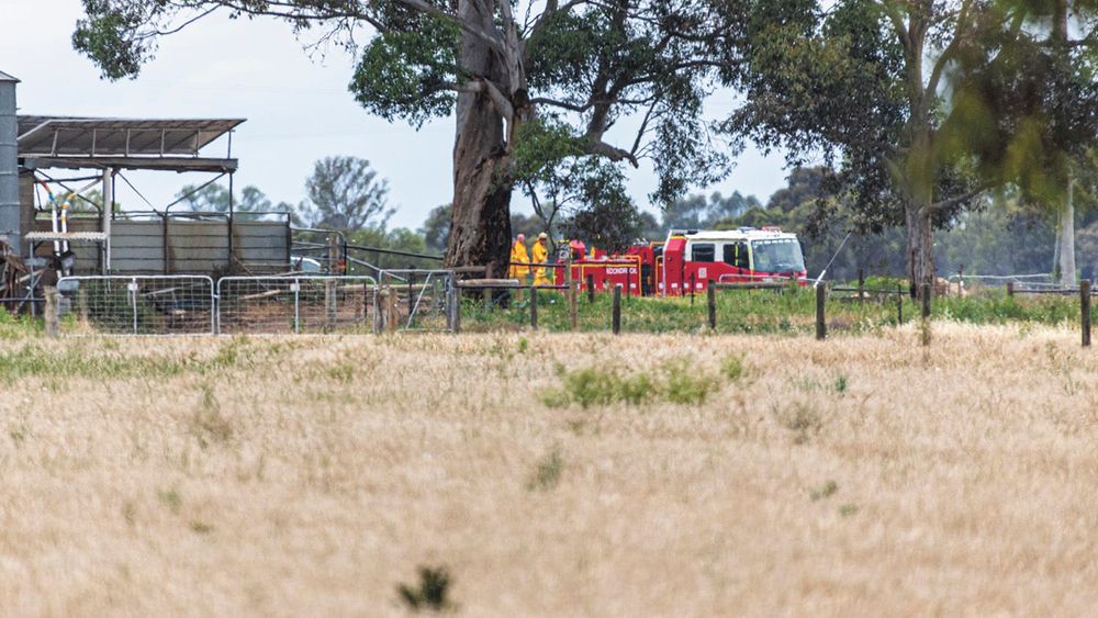 Grass Fire Halted post image