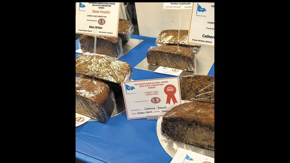 Catherine Continues Success at State Level post image