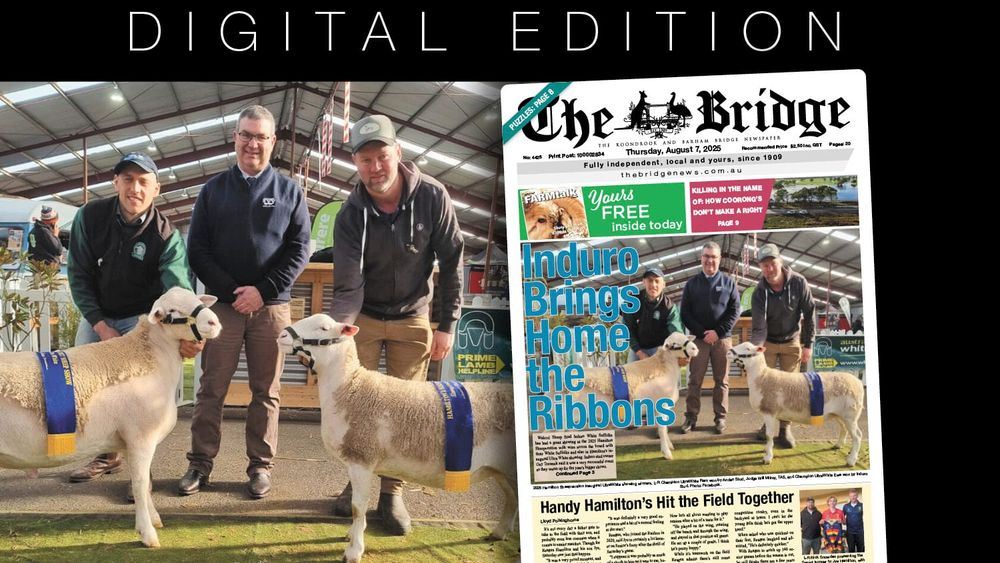 Thursday, August 7, 2025 post image