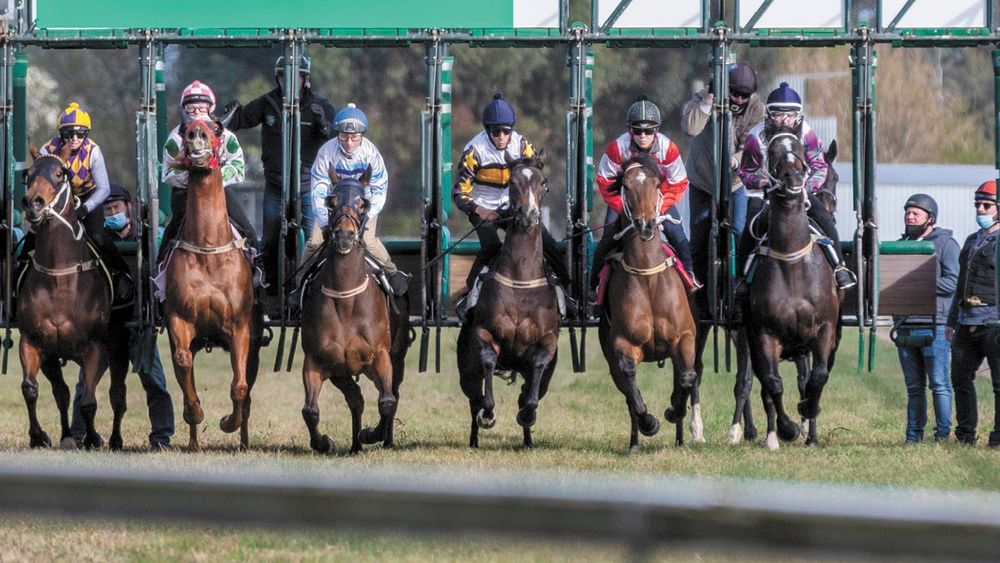 Ready for Spring Racing post image