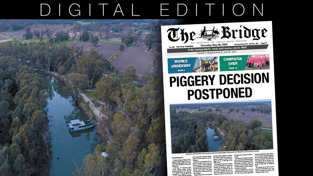 Thursday, May 26, 2022 post image