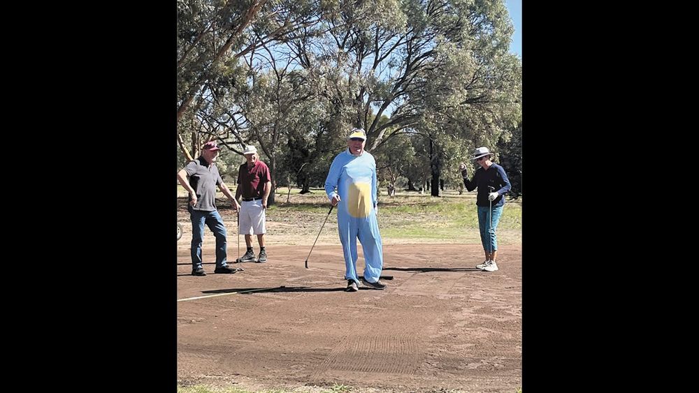 A Busy Bluey post image