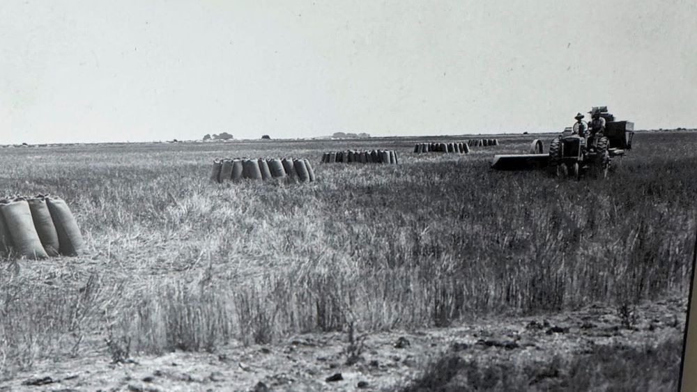 Killing in the Name of: How Coorong’s Don’t Make a Right post image