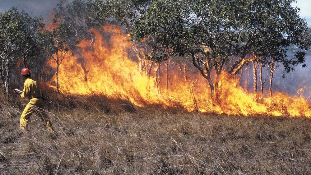 Fire Danger Period has begun post image