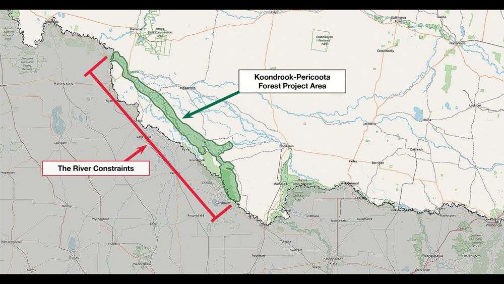 Koondrook-Perricoota Flow Enabling Works post image