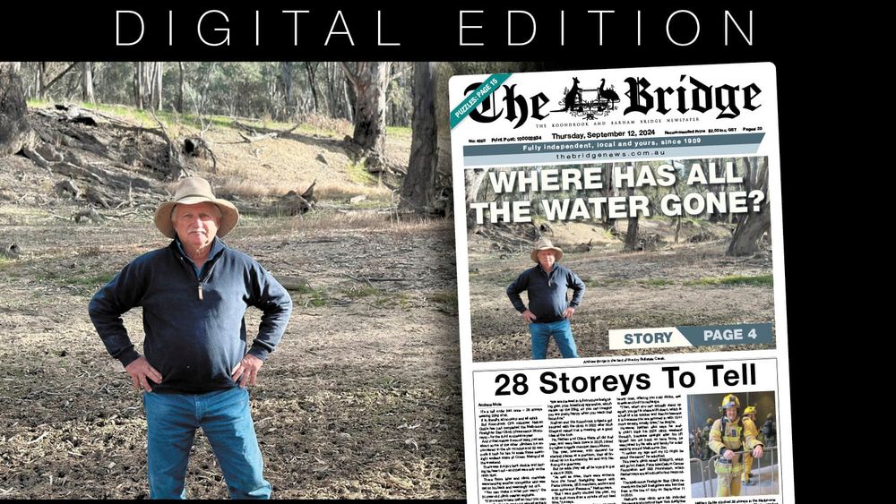 Thursday, September 12, 2024 post image