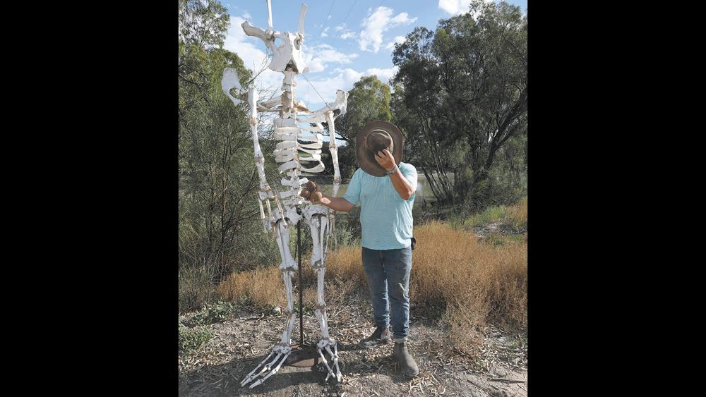 Moulamein Notebook- March 31, 2022 post image