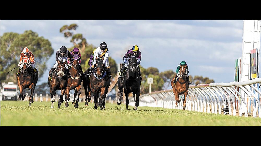 Coraggio victorious at cluBarham Kerang Cup post image