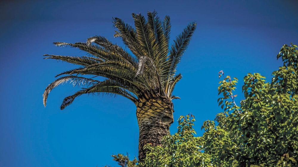 :-) Smilezone - October 28, 2021 post image