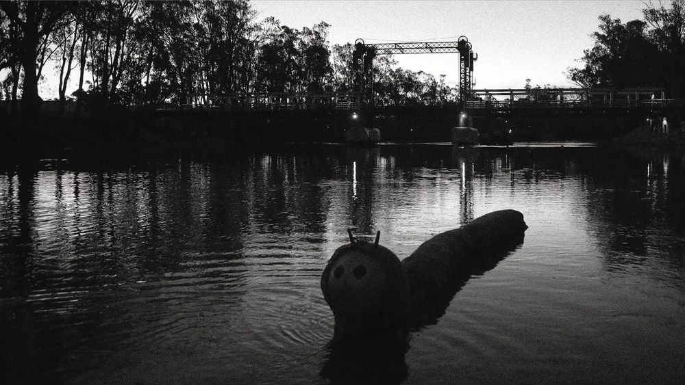Strange Sighting post image