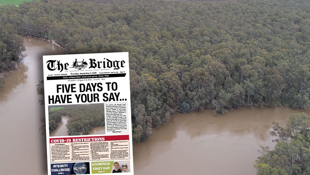 Thursday, September 3, 2020 post image