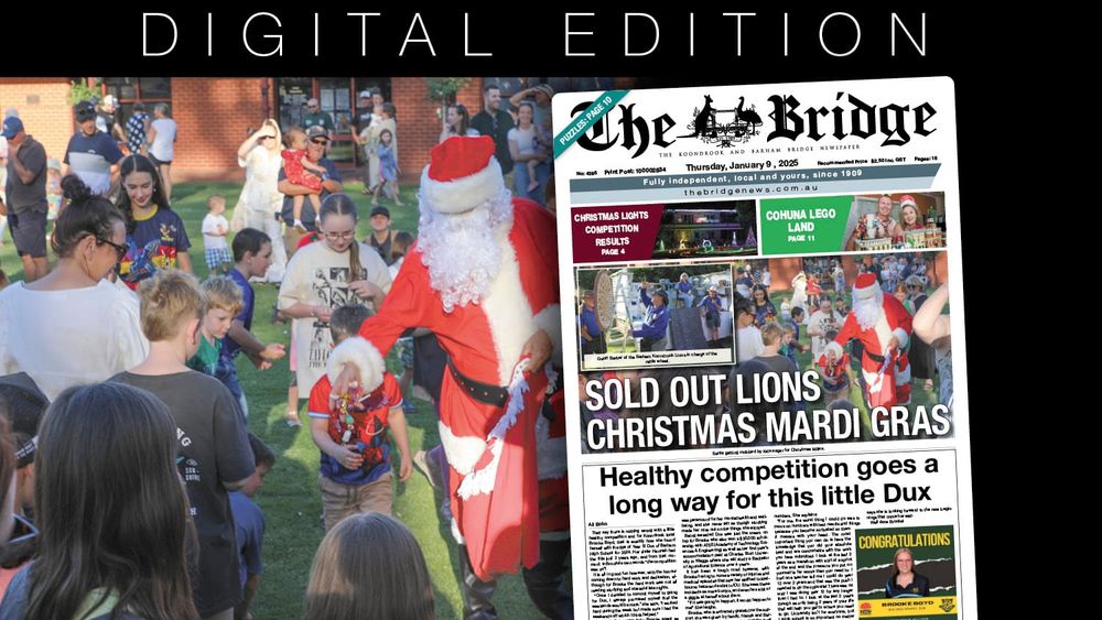 Thursday, January 9, 2025 post image