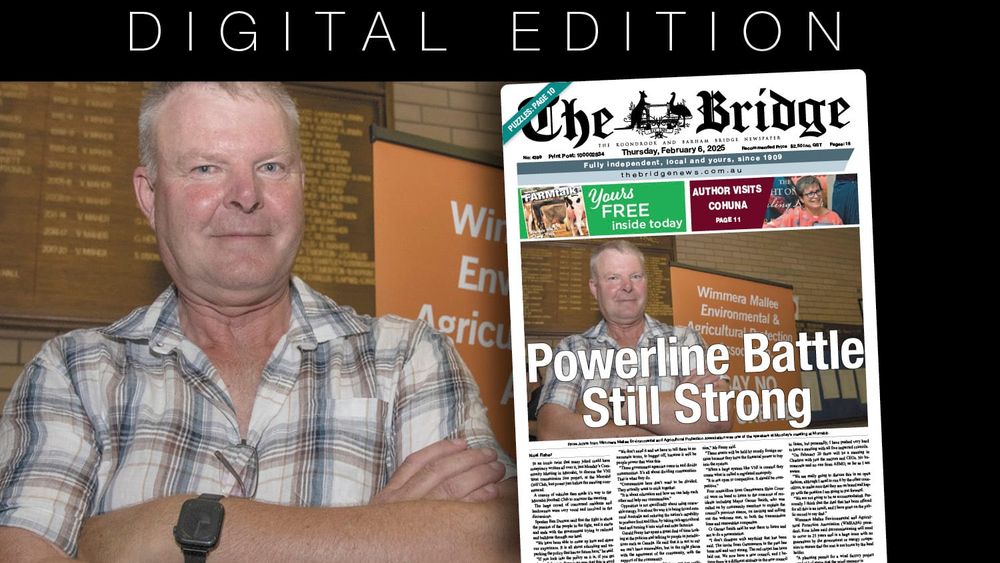 Thursday, February 6, 2025 post image