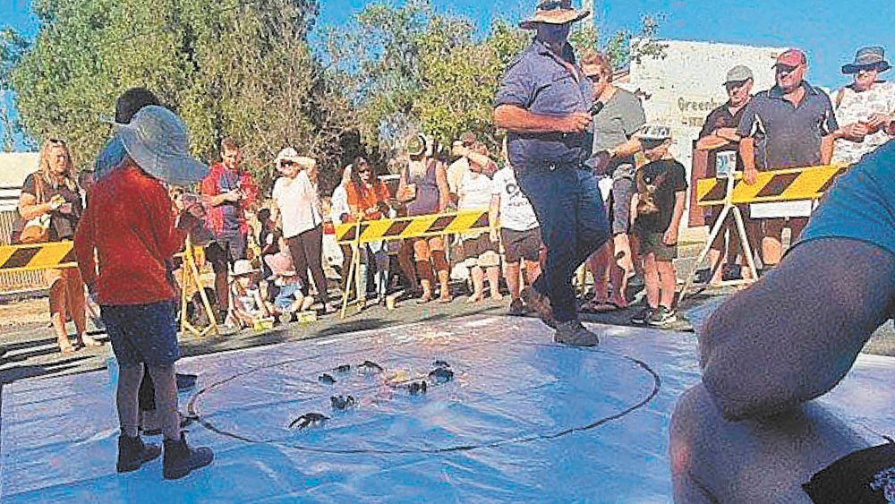 Yabby Tales post image