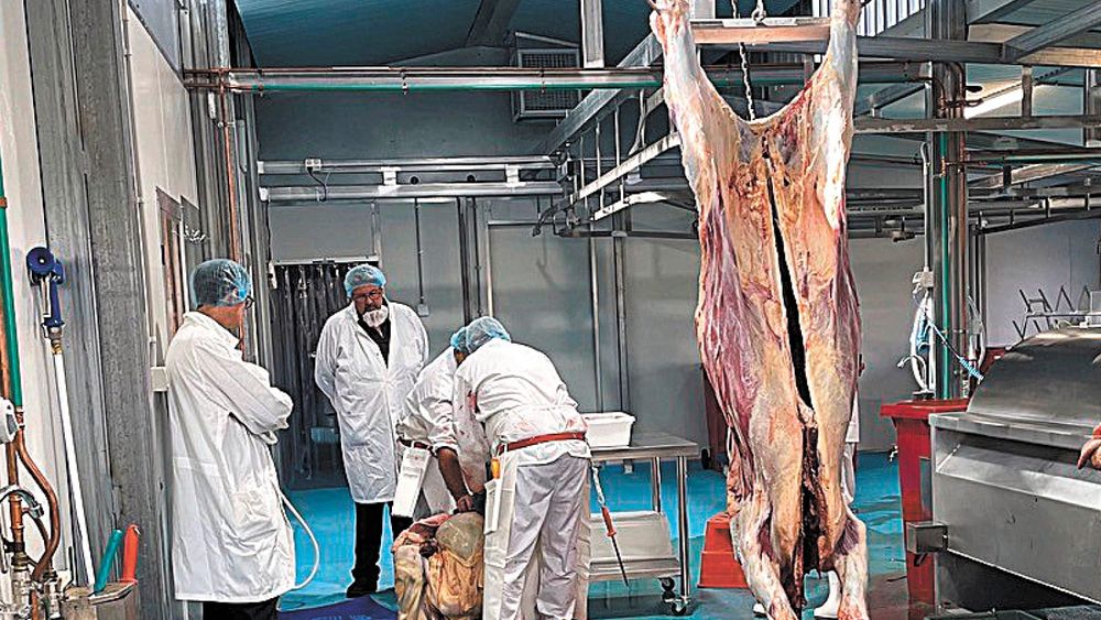 Micro Abattoir Put to the Test post image