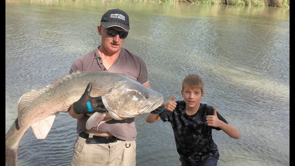 Whoppa Cod post image