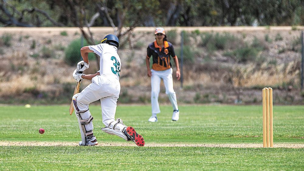 Junior Representative Cricket post image