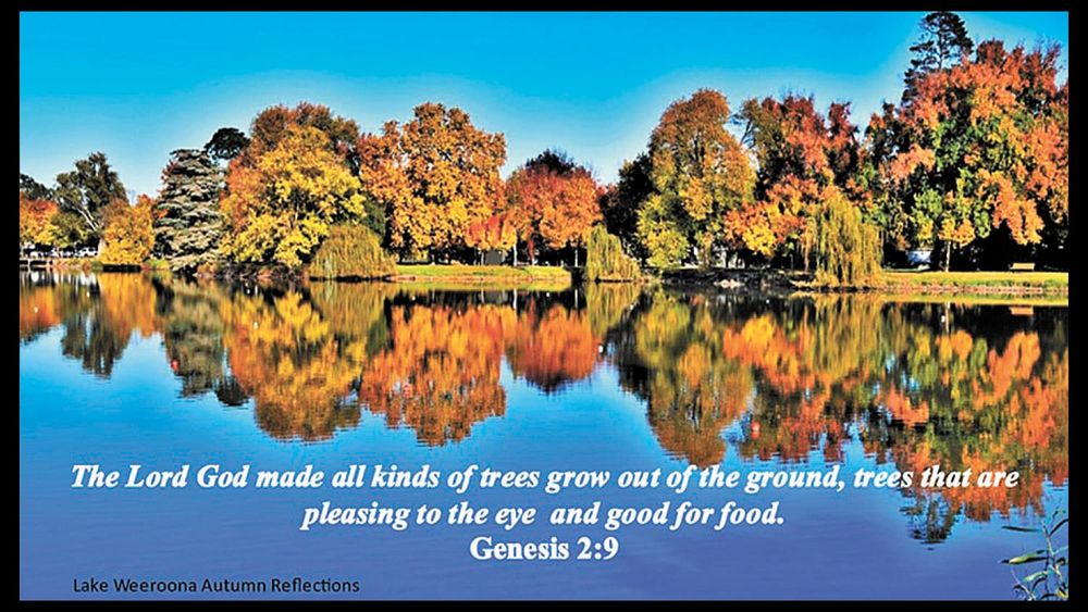 Autumn Delight post image