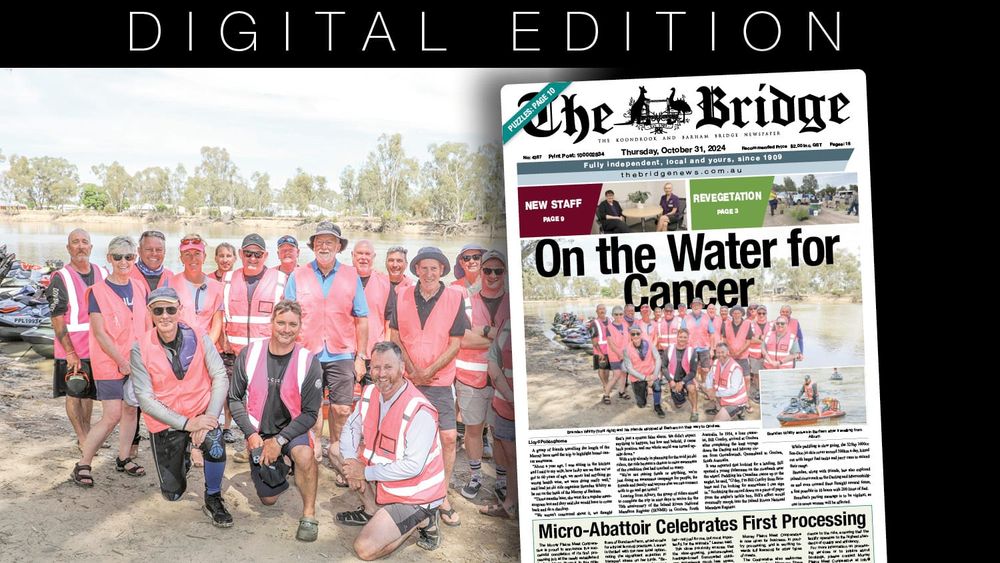 Thursday, October 31, 2024 post image