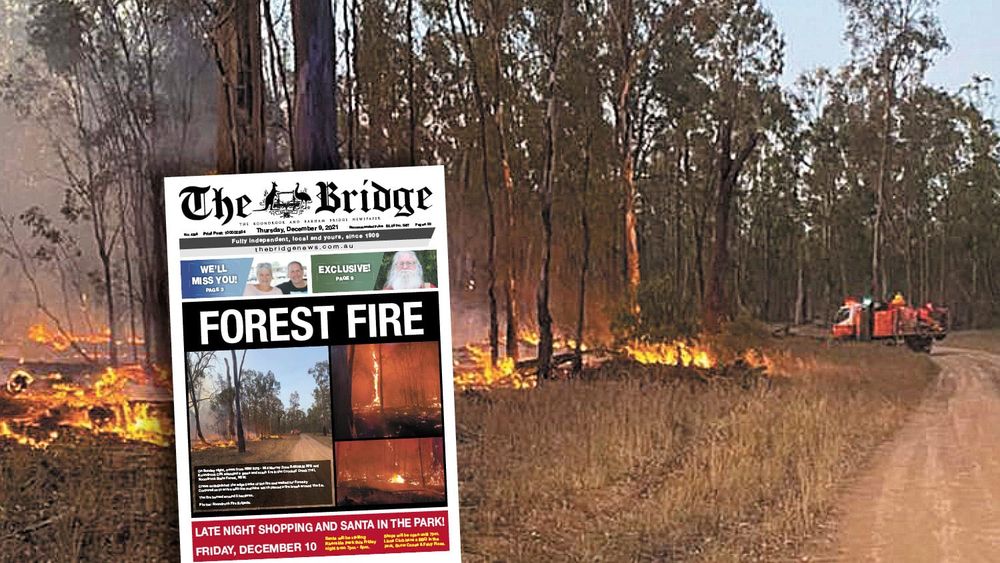 Thursday, December 9, 2021 post image