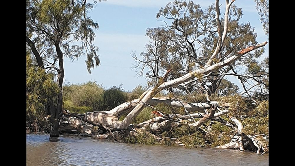 Moulamein Notebook- September 22, 2022 post image