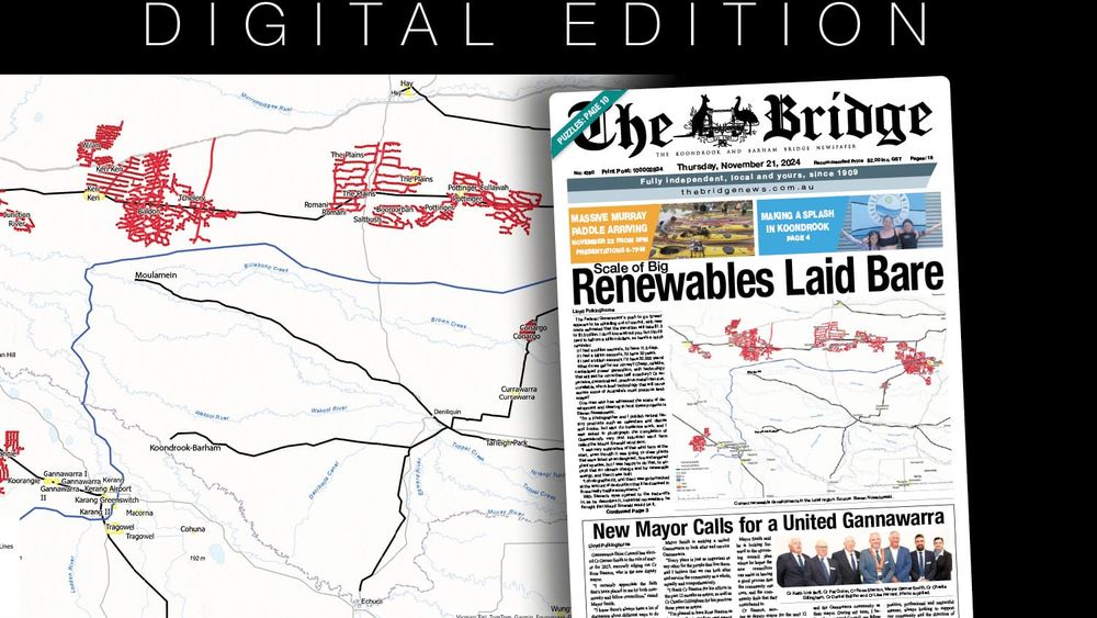 Thursday, November 21, 2024 post image