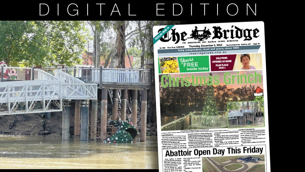 Thursday, December 5, 2024 post image